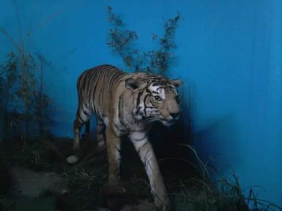 Museo Oceanografico