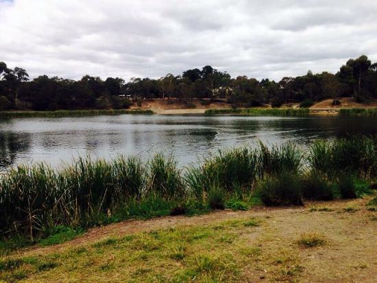 Lake Esmond Botanical Park