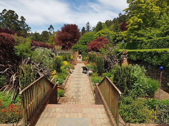 Cloudehill Nursery and Gardens