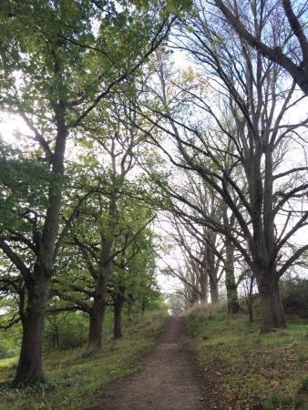 Jacksons Creek Reserve