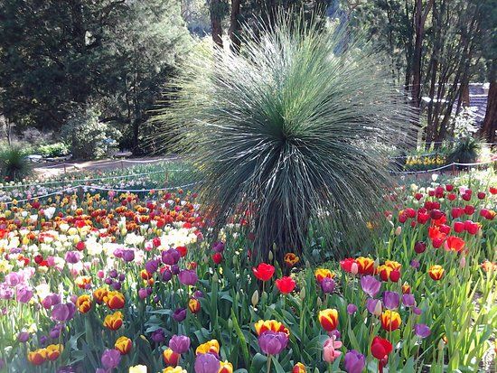 Araluen Botanic Park