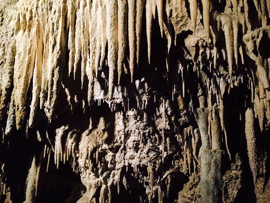 Ngarua Caves