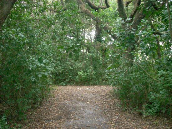 Kendall Indian Hammocks Park