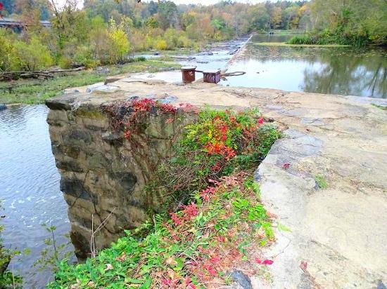 Lower Haw River State Natural Area