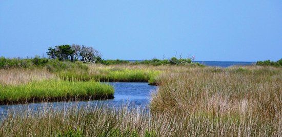 Hatteras Island Ocean Center