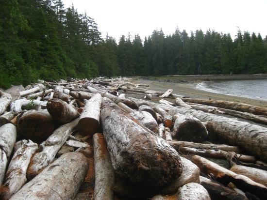 Sandy Beach Recreation Area