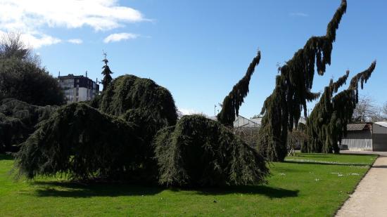 Jardin des plantes d'Orléans