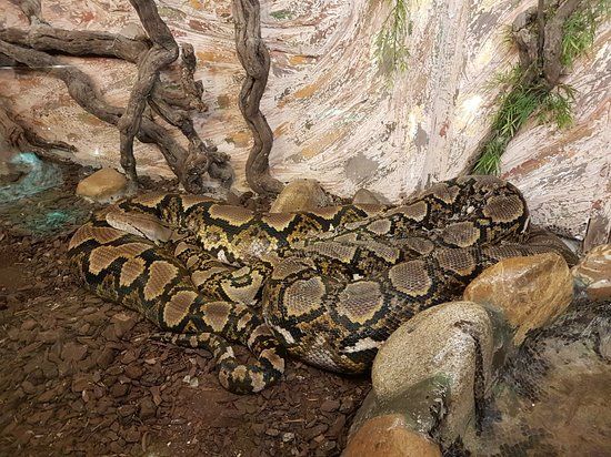 Zoo de Mescoules