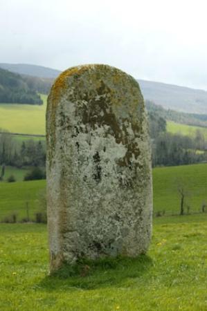Statue-Menhir de la Pierre Plantée