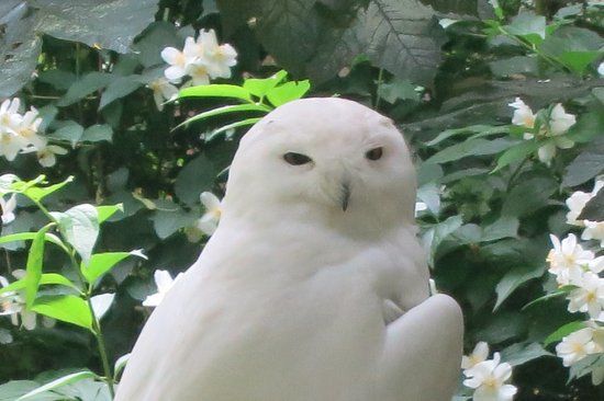 Tierpark Hirschfeld