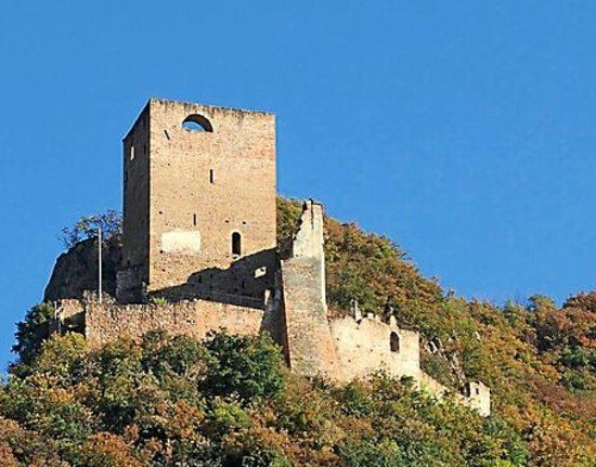 Burgruine Neuhaus