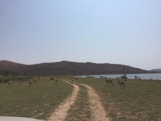 Loskop Dam Nature Reserve