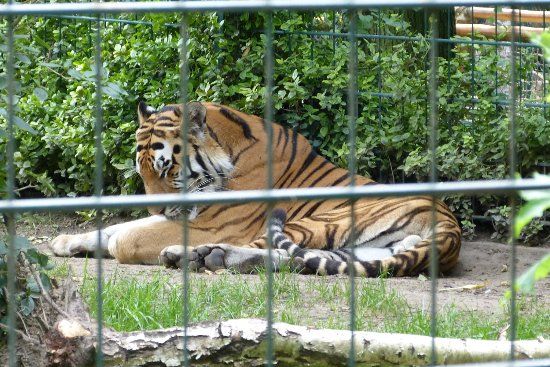 Arche Noah Zoo Braunschweig