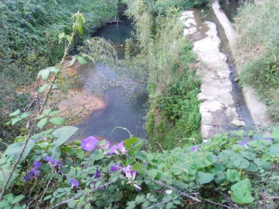 Parc de Mas Miquel