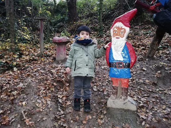 El Bosc Encantat