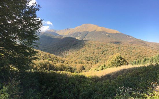 Parco Nazionale dell'Appennino Tosco-Emiliano