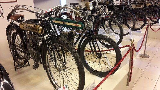 Collezione Salsapariglia