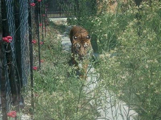 Zoo La Rupe