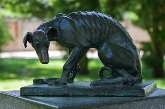 Monumento al Perro Abandonado