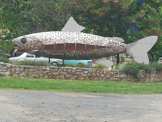 Mountain Fresh Trout and Salmon Farm