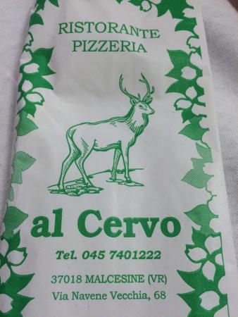 Cervo