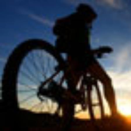 Il Dragoncello 2 Pizzeria Paninoteca