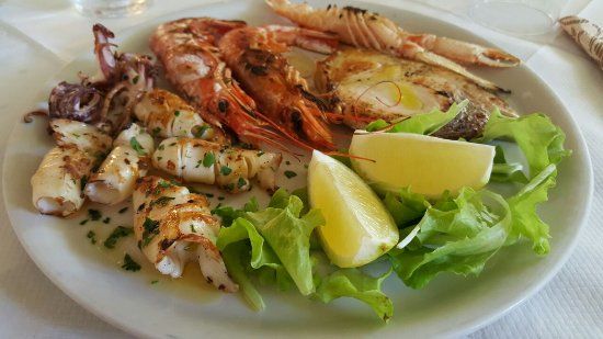 Hippocampus Campo Regio