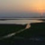 Suraj Hotel Restaurant