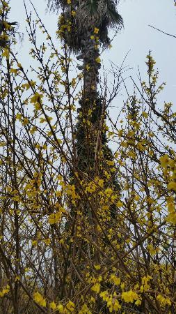 Iho Che Heom Bae Naksi