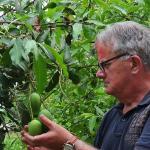 Chinees Indisch Restaurant Hai Jin