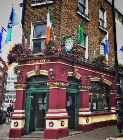 Molloy's Dublin