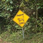 Hiho Brewing Company