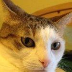 Timeout Bar and Grill