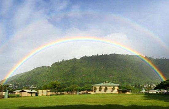 Blue Hawaii Life Style Namba City