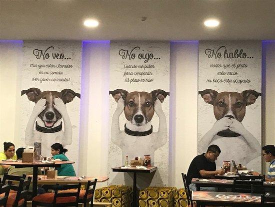 La Casa del TomaHawk