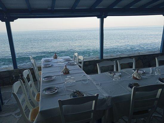 Fish Tavern Delphini