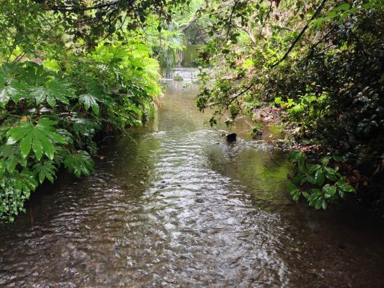 Ochiai River and Minamisawa Springs