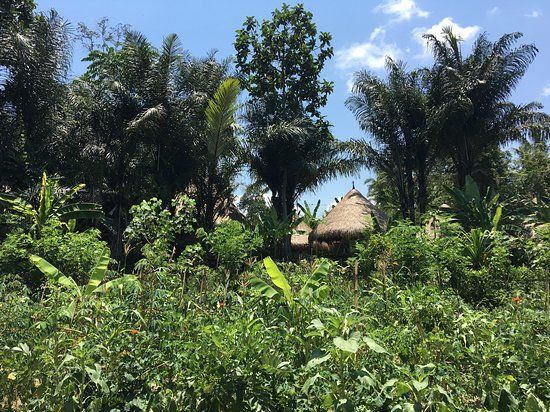 The Kul Kul Farm