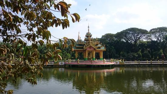 Seinn Lann So Pyay Garden