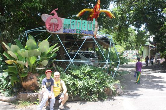 Jungle Environment Survival Training Camp