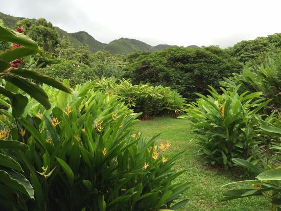 Halawa Tropical Flower Farm