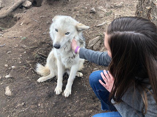 Rocky Mountain Wildlife Foundation