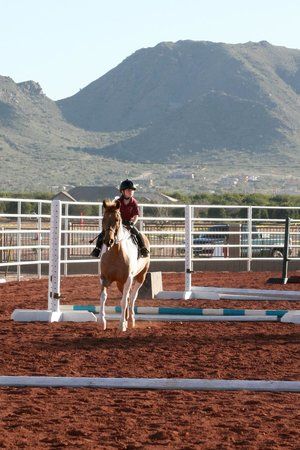 Horseshoe Park & Equestrian Centre
