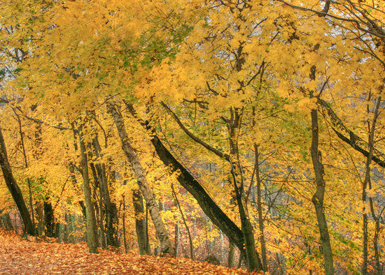 Blue Hills Reservation