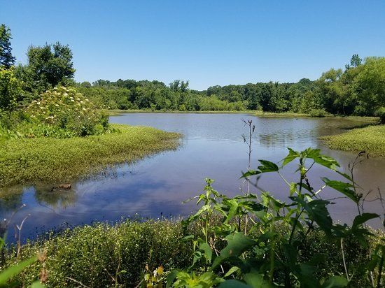 Constitution Lakes
