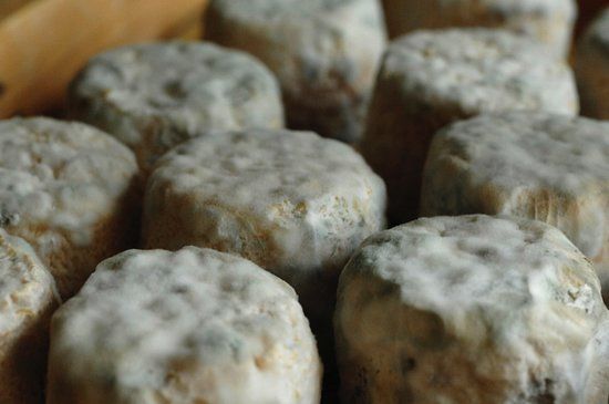 La Ferme de Saint-Louis