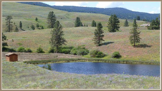 Swan Lake Bird Sanctuary