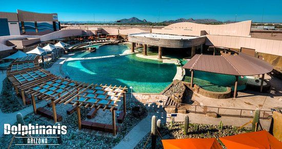 Dolphinaris Arizona