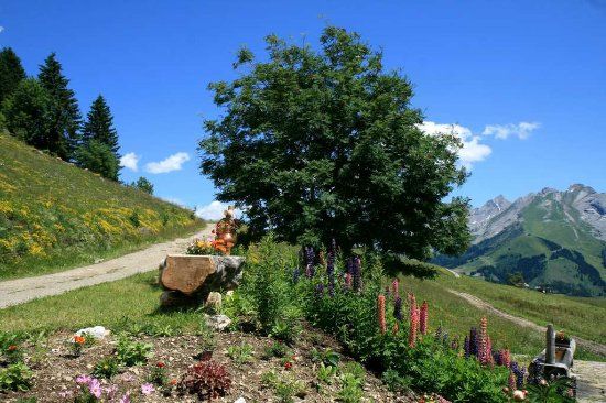 Ferme de Lorette