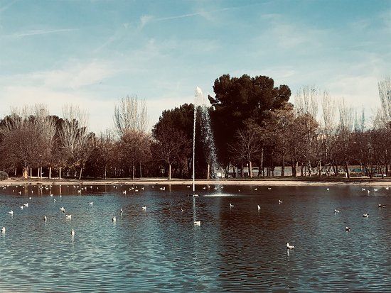 Parque de Tierno Galvan